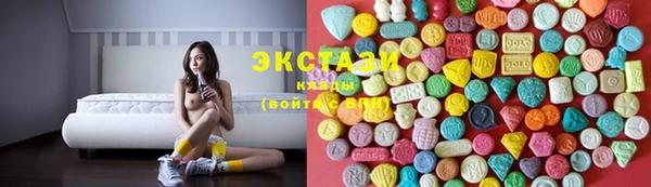индика Анива