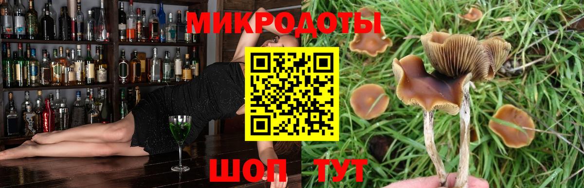 Галлюциногенные грибы мицелий Курск